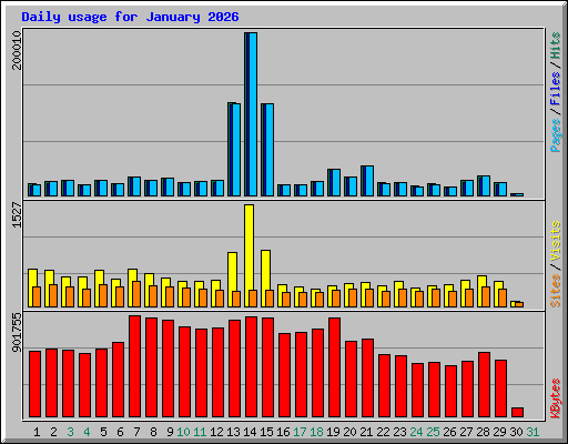 Daily usage for January 2026