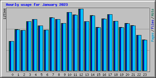 Hourly usage for January 2023