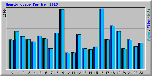 Hourly usage for May 2025