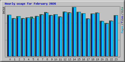 Hourly usage for February 2026